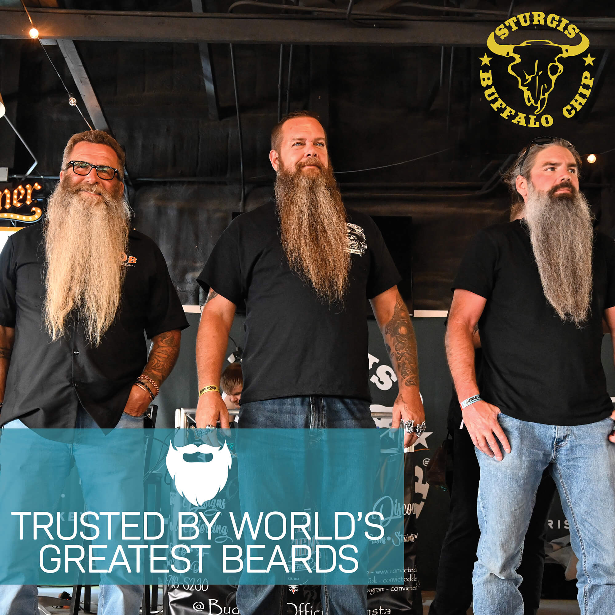 Greatesbeards