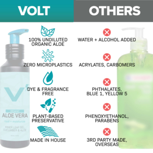 Volt Aloe Square 2025 03